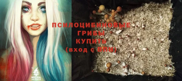 бошки Михайлов