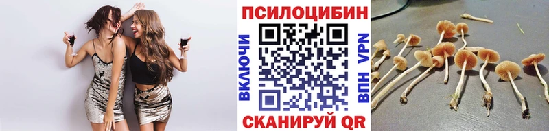 Галлюциногенные грибы Magic Shrooms  Шахунья 